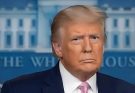 ABC Anchor Admits Truth As Trump’s DC Crackdown Yields Big Results